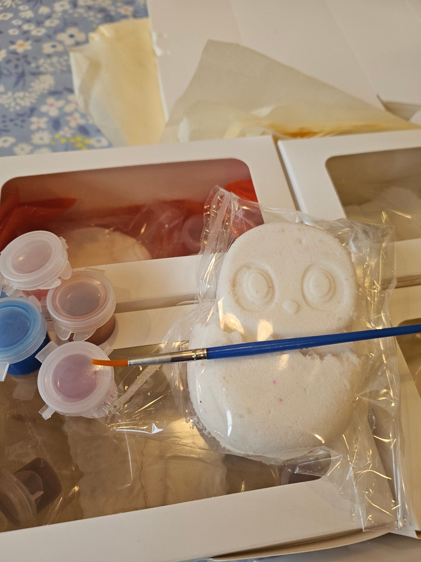 Paint Your Own Bathbomb Kit