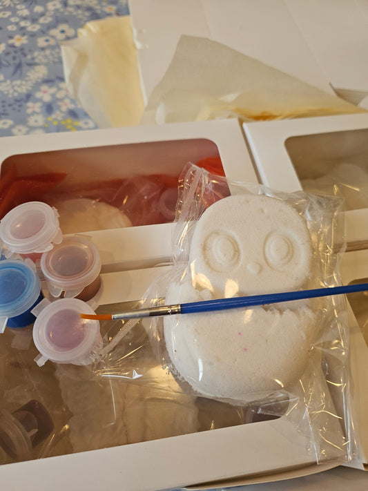 Paint Your Own Bathbomb Kit