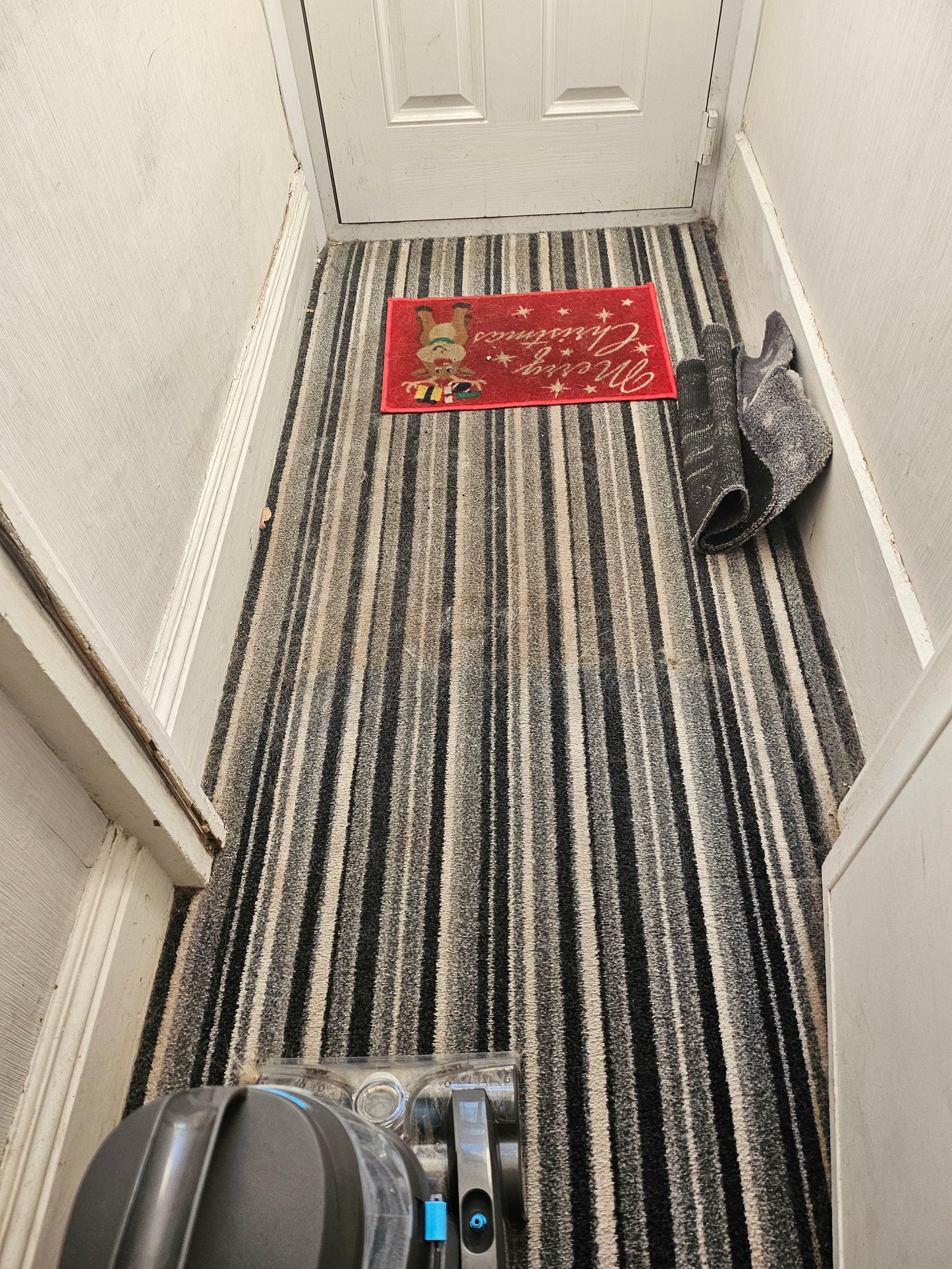 Concentrate Carpet Cleaner